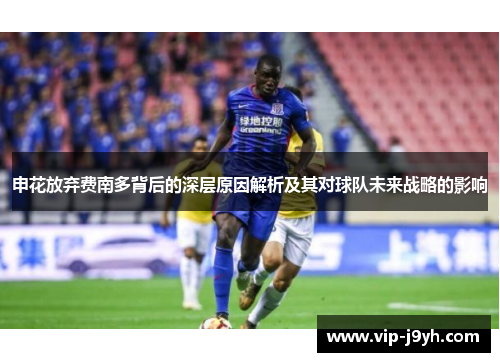 申花放弃费南多背后的深层原因解析及其对球队未来战略的影响