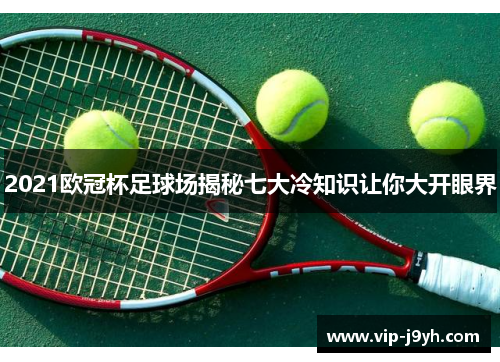 2021欧冠杯足球场揭秘七大冷知识让你大开眼界